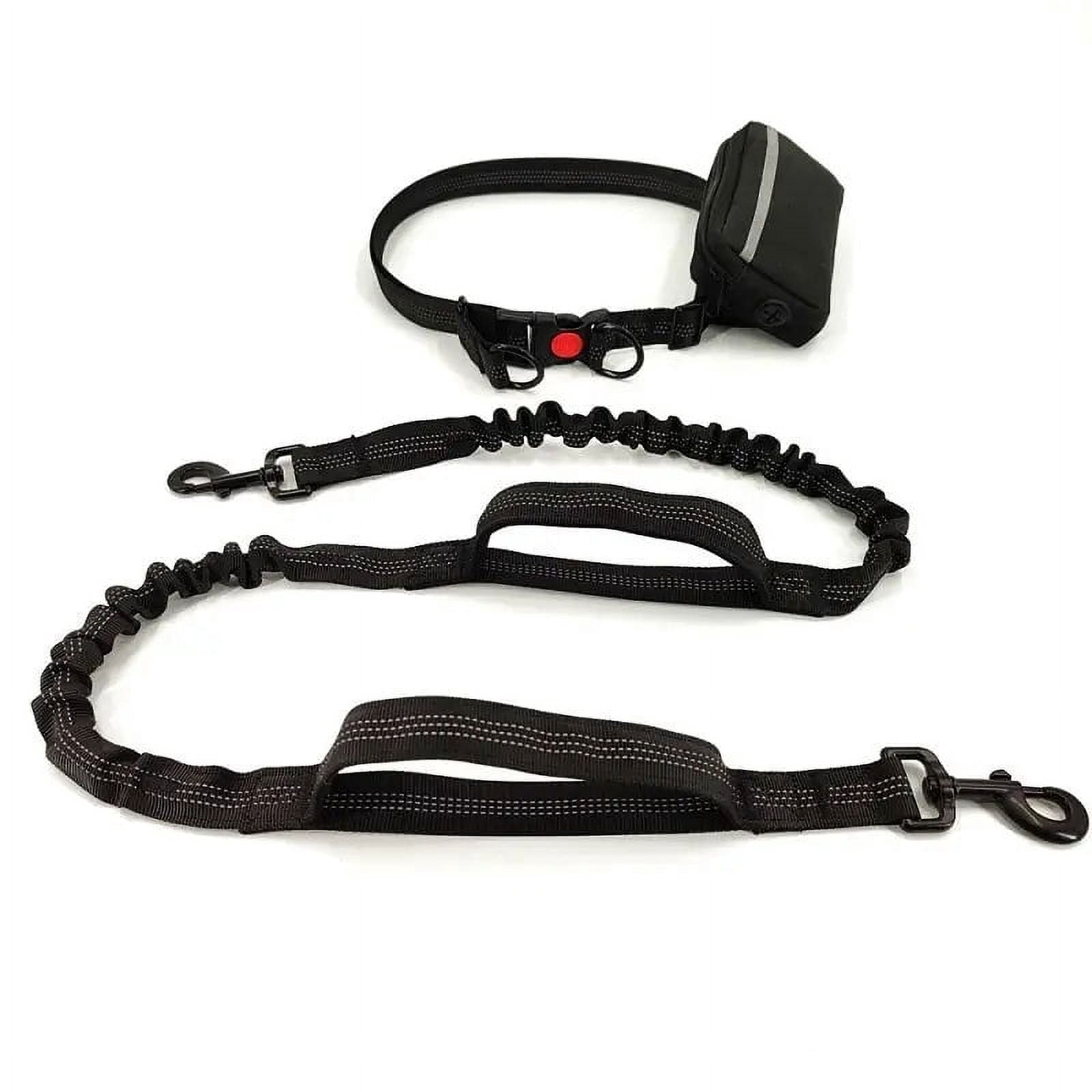 Training Dog Leash - Training Dog to Walk on a Leash