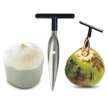 Ouvre-copeaux en Acier Inoxydable, Noix de Coco Vertes Facilement Ouvertes, Outils Inclus