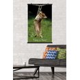 thumbnail image 4 of Famous Kitten Hang In There Poster Wall Poster, 22.375" x 34", 4 of 5