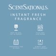 thumbnail image 3 of ScentSationals, Diffuseur d'huile parfumée - Bouteille unique, 3 of 8