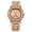 RG, variant on EGNMCR Men's Quartz Watch Men's Fully Rhinestone Watches Quartz Lced Out Gold Diamond Wristwatch MEN watch