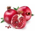 thumbnail image 2 of Torani Pomegranate Flavoring Syrup, Professional Exotic Fruit Beverage Base with Bonus Squeeze Pump, 1 Liter (33.8 fl oz), 2 of 10