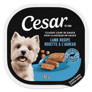 Cesar Classic Loaf in Sauce Lamb Recipe Soft Wet Dog Food