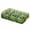 Vert, variante sur Plateau de Fruits Secs en Plastique Compartimenté Boîte de Rangement pour Salon avec Couvercle 35 cm x 20 cm x 7,2 cm
