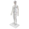thumbnail image 2 of ANGGREK Modèle d'Acupuncture pour Femmes, Modèle d'Acupuncture avec Base, Ensemble d'Aiguilles d'Acupuncture, 2 of 8
