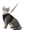 Black, variant on Cat Harness and Leash for Walking, Cat Car Harness, Escape Proof Soft Adjustable Vest Harnesses for Cats, Easy Control Breathable Strips Harness, Kitten Harness and Leash Set, Black