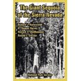 thumbnail image 2 of Le Grand Séquoia de la Sierra Nevada, 2 of 2