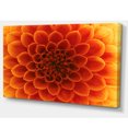 thumbnail image 2 of Large Dark Yellow Flower and Petals - Floral Canvas Art Print, 2 of 3