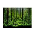 thumbnail image 1 of PVC Adhesive Underwater Forest Tank Background Poster Backdrop Decoration Paper (61*41cm), 1 of 10