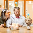 thumbnail image 3 of Langgg Nœud d'Anniversaire pour Chat et Chien, 3 of 9