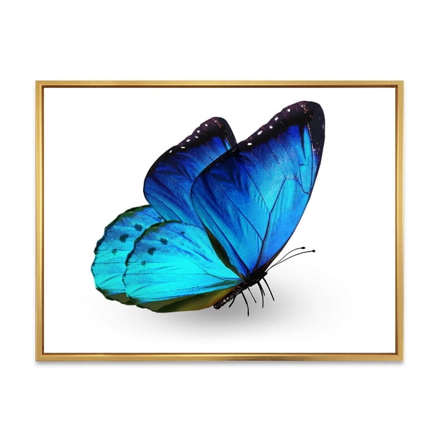 Designart Cadre Mural Flottant Papillon Bleu Vibrant ART Montrant un Gros Plan Centré d'Un Papillon Bleu Vibrant avec des Ailes aux Bords Noirs sur Toile de Coton de Qualité Supérieure, Enveloppé et Tendu sur un sous-Cadre en Bois de 1 Po à l'Intérieur d'Un Cadre Flottant en Bois Clair, Prêt à Accrocher au Mur, Idéal pour Rehausser la Déco Maison Moderne et la collection d'Impressions sur Toile.