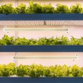thumbnail image 4 of EIGTHTAIL Grow Light Strip Indoor Plants Grow Lamp Full Spectrum Led Light Daylight Growing Lamp, 4 of 6