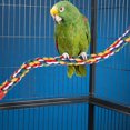 thumbnail image 4 of Jouet, Corde d'Escalade Colorée pour Oiseaux, pour Oiseaux m, 4 of 8