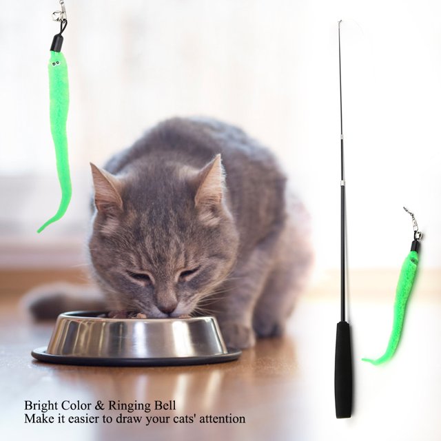 Jouet pour Chat Robuste et Durable, Jouet Drôle pour Animaux de Compagnie Jouet de Pêche au Chat, Fournitures pour Animaux de Compagnie pour Chaton Exercice pour Animaux de Compagnie