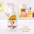thumbnail image 3 of Citra-Solve 40532 Citra Solve Valencia Orange Spray, 3 of 5