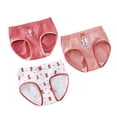 thumbnail image 1 of Girls 3Pc Toddler Kids Cartoon Rainbow Shorts Underwear Clothes, 1 of 3