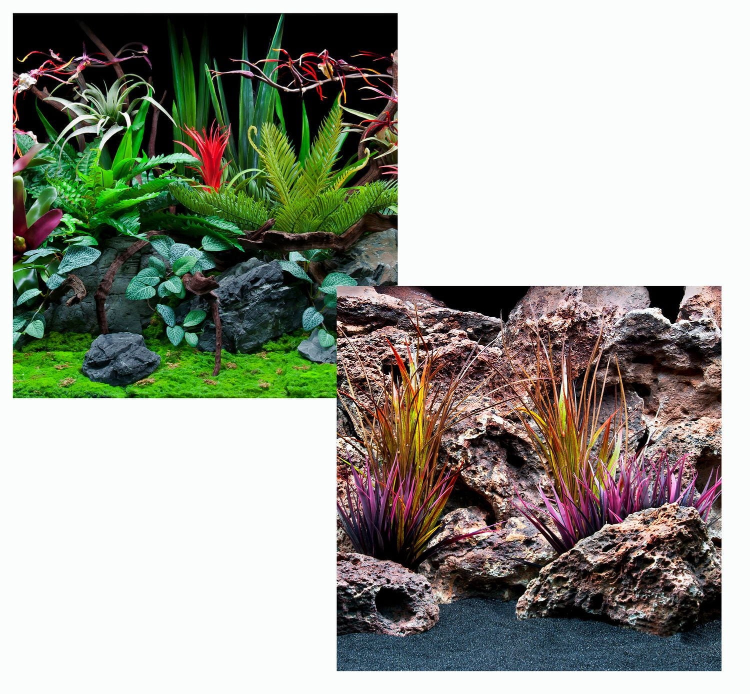 Marina Fond d'Aquarium Double Face, Flore de Jungle et Dentelle Rouge, 12 Pouces x 24 Pouces