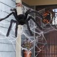 thumbnail image 2 of HomeSphere Halloween Spiderr Giant Webworm Outdoor Black Soft Hairy Scary Realistic Decor, 2 of 6