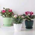 thumbnail image 3 of 1 Set Plant Pot Strong Not Easily Deformed Fine Workmanship Modern Decorative Nursery Container Bonsai Accessories, 3 of 8
