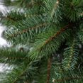 thumbnail image 5 of Holiday Time Donner™ 7.5' Regular Full Fir Christmas Tree - Green, 5 of 5