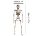 thumbnail image 3 of Posable Skeleton Halloween Decorations Poseable Skeleton With Realistic Movable Joints For Halloween Garden Outdoor Statues Outdoor Statues for outside Yard Decorations Statues Rainbow Ornament Set, 3 of 4