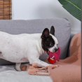thumbnail image 2 of Hugsmart Rexy Dog Plush Toy, 2 of 4