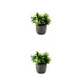 thumbnail image 3 of Decodeary Green Eco-friendly Artificial Money Tree In Pot Long-lasting Durability Realistic Appearance new whitebabysbreath 2Set, 3 of 6