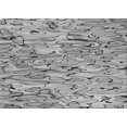 thumbnail image 1 of Ahgly Company Machine Washable Indoor Rectangle Transitional Silver Gray Area Rugs, 2' x 3', 1 of 7