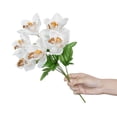 thumbnail image 3 of Mainstays Artificial Orchid Pick, For indoor use, 3 of 8