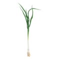 thumbnail image 2 of veasfak Vegetable Food Green Garlic Shallot Decorative Display Example Kids Pretend Play Garlic 40cm, 2 of 9