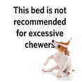 thumbnail image 2 of Midwest Homes For Pets Midwest Quiet Time Dog Bed, 2 of 8