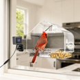 thumbnail image 1 of Richbird Waterproof Smart Window Bird Feeder Camera with AI, All-Weather 2K HD Live View & Secure Suction Mount - The Ultimate Outdoor Gift, 1 of 8