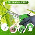 thumbnail image 2 of Uxcell 4-Pack Bypass Pruning Shears for Garden, 6.6 Inch Stainless Steel Scissors, 2 of 6