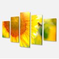 thumbnail image 2 of Beautiful Sunflowers Blooming - Large Animal Canvas Art Print, 2 of 3