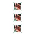 thumbnail image 3 of maskred Soft And Durable Throw Pillows Covers Are Easy To Clean And Fit Home Decoration W0134-11 3Set, 3 of 6