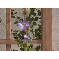 thumbnail image 3 of Vita Concord, Embossed Vinyl Trellis, Brown, VA84090, 3 of 8
