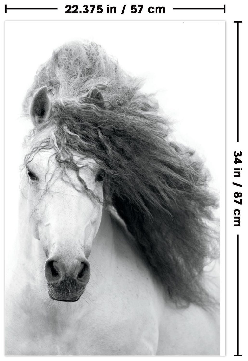 Grayscale Horse Wall Poster, 22.375" x 34"