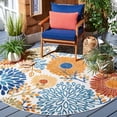 thumbnail image 1 of SAFAVIEH Cabana Garnet Tapis Floral Extérieur, 1 of 9