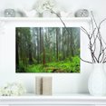 thumbnail image 1 of Hoh Rain Forest - Landscape Photography Canvas Art Print, 1 of 3
