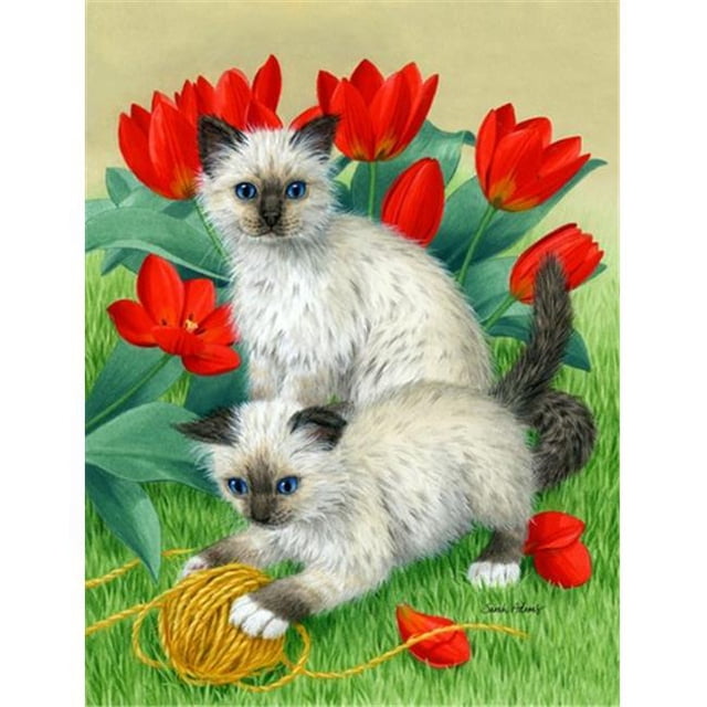Carolines Treasures ASA2125GF Birman Kittens Flag Garden Size