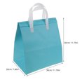 thumbnail image 2 of OULII Emballage Froid pour Expédition Sacs Isolés Papier D\'aluminium Lot de 1, 2 of 7