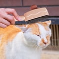 thumbnail image 3 of Self-Cleaning Pet Grooming Comb with Release Button for Hair Removal and Flea Control, 3 of 3