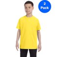 thumbnail image 1 of Hanes T-Shirt Jeunesse Authentic-T - 54500 (Lot de 2), 1 of 1