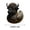 C, variant on Limited Edition Hand-Painted Wild Animal Rubber Duck Set Artisan Crafted Collectible Animal Ducks Nature Inspired Home Decor Gift