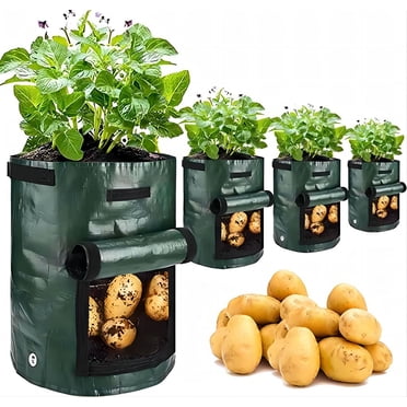 Sacs de Culture pour Pommes de Terre de Jardin de 10 Gallons avec Rabat et Poignées, Pots en Tissu d'Aération (Lot de 2)