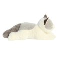 thumbnail image 3 of Aurora Flopsie - Nico Ragdoll (Cat) 12, 3 of 4