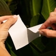 thumbnail image 3 of Tru Earth Eco-Strips Détergent à Lessive pour Linge Frais, 116 Brassées, 3 of 3