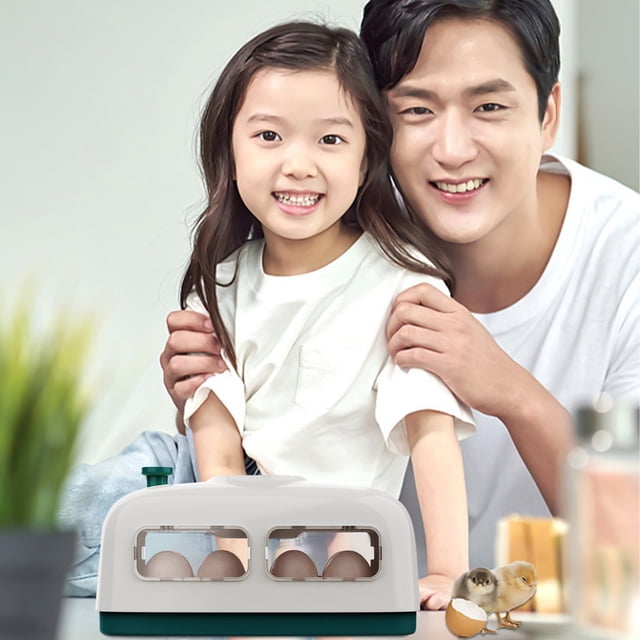 EGNMCR Hatching Chicks, 8 Eggs Poultry Hatcher, Cute Little Train Shape Incubate, With Humidity Temperature Control, For Chickens Ducks Quail Birds, Mother's Day Gift Ideas