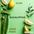 thumbnail image 4 of Scent Theory Hand Sanitizer Spray, Lush Aloe, 1 fl oz, 4 of 9
