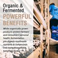 thumbnail image 4 of Solaray Organically Grown Fermented Mushroom Complete 600 mg (60 VegCaps), 4 of 6